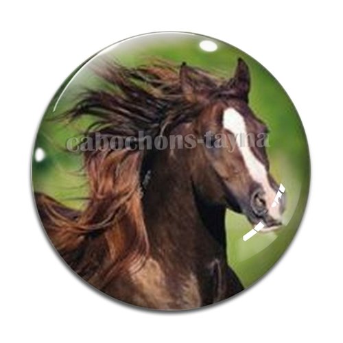Cabochon cheval, cabochon résine, verre rond différente taille