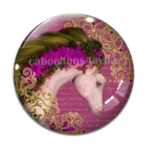 Cabochon cheval, cabochon résine, verre rond différente taille
