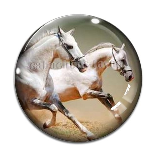 Cabochon cheval, cabochon résine, verre rond différente taille
