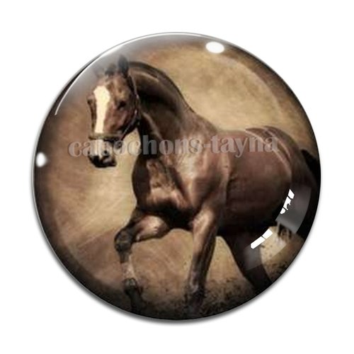 Cabochon cheval, cabochon résine, verre rond différente taille