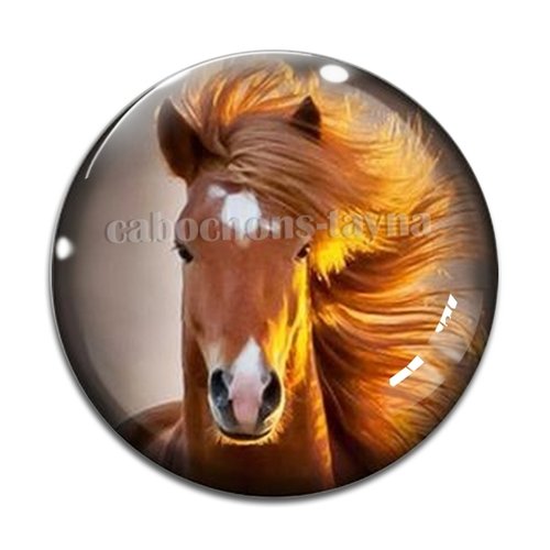 Cabochon cheval, cabochon résine, verre rond différente taille