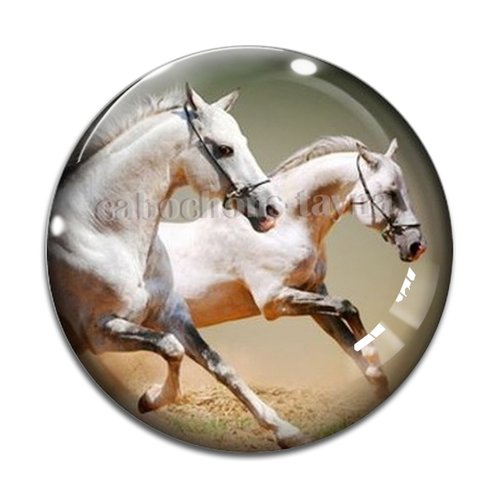 Cabochon cheval, cabochon résine, verre rond différente taille