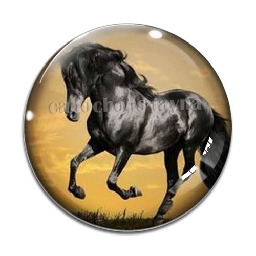 Cabochon cheval, cabochon résine, verre rond différente taille