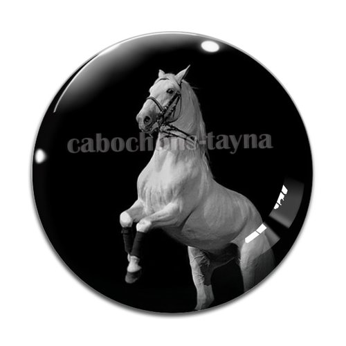 Cabochon cheval, cabochon résine, verre rond différente taille