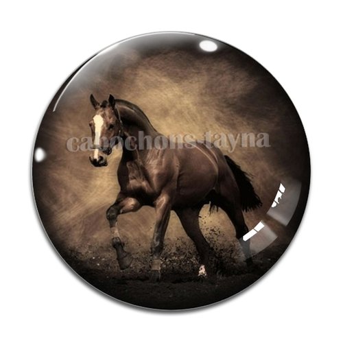 Cabochon cheval, cabochon résine, verre rond différente taille
