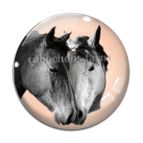 Cabochon cheval, cabochon résine, verre rond différente taille
