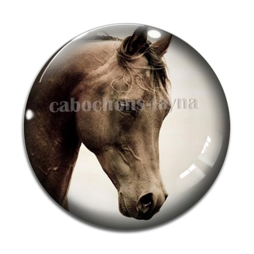 Cabochon cheval, cabochon résine, verre rond différente taille