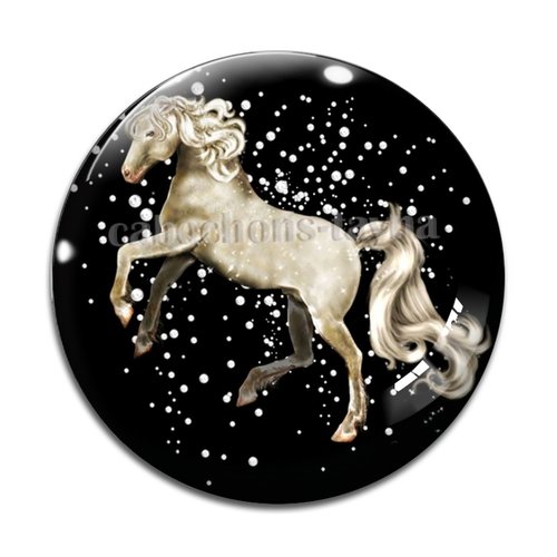 Cabochon cheval, cabochon résine, verre rond différente taille