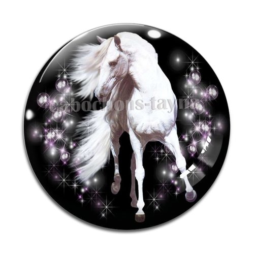 Cabochon cheval, cabochon résine, verre rond différente taille
