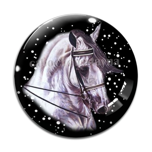 Cabochon cheval, cabochon résine, verre rond différente taille
