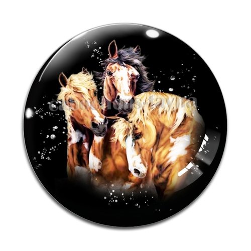 Cabochon cheval, cabochon résine, verre rond différente taille
