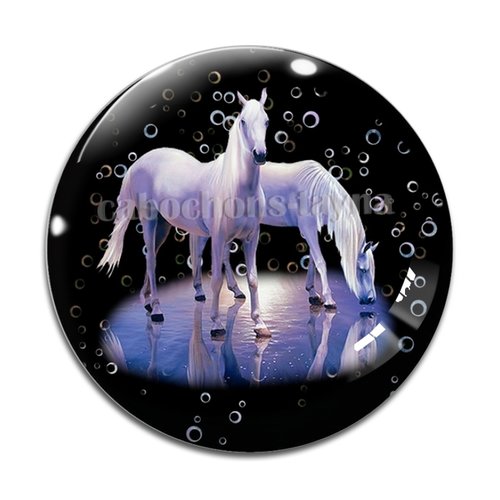 Cabochon cheval, cabochon résine, verre rond différente taille