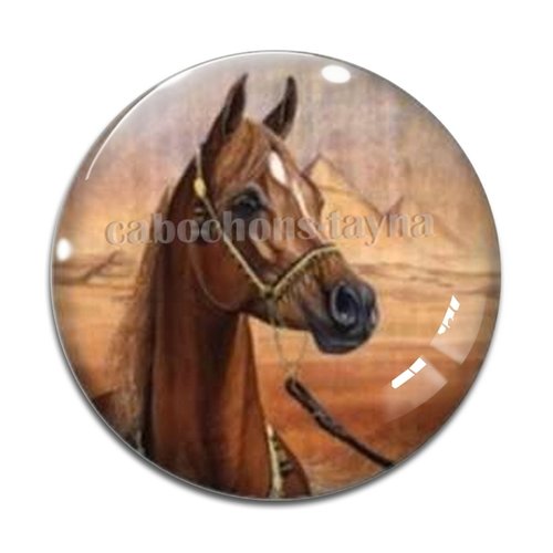 Cabochon cheval, cabochon résine, verre rond différente taille