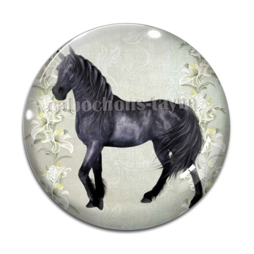 Cabochon cheval, cabochon résine, verre rond différente taille