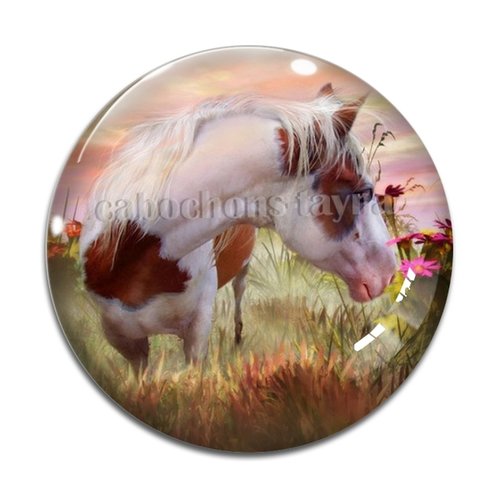 Cabochon cheval, cabochon résine, verre rond différente taille