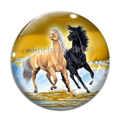 Cabochon cheval, cabochon résine, verre rond différente taille