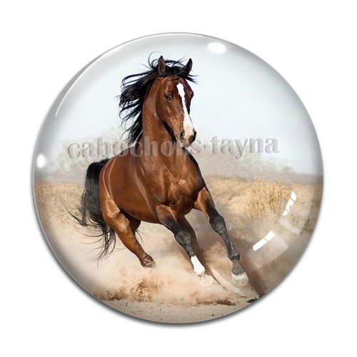 Cabochon cheval, cabochon résine, verre rond différente taille