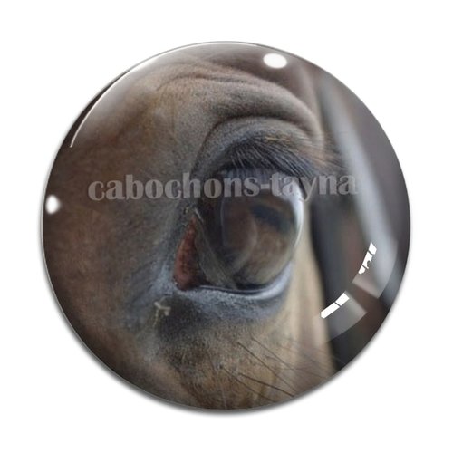Cabochon cheval, cabochon résine, verre rond différente taille