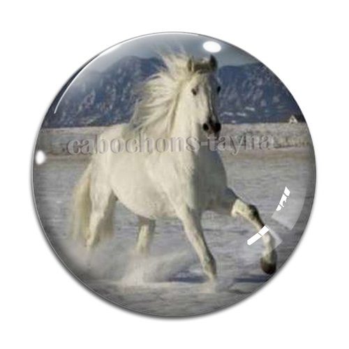 Cabochon cheval, cabochon résine, verre rond différente taille