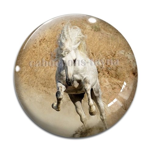 Cabochon cheval, cabochon résine, verre rond différente taille