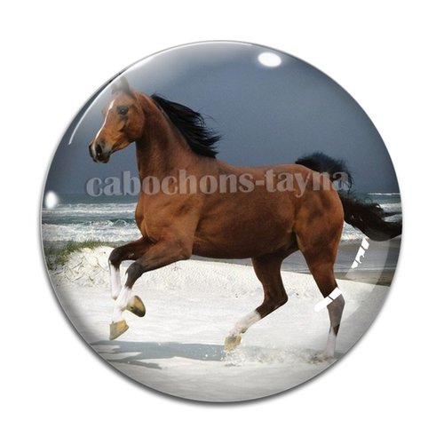 Cabochon cheval, cabochon résine, verre rond différente taille
