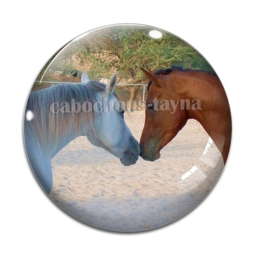 Cabochon cheval, cabochon résine, verre rond différente taille