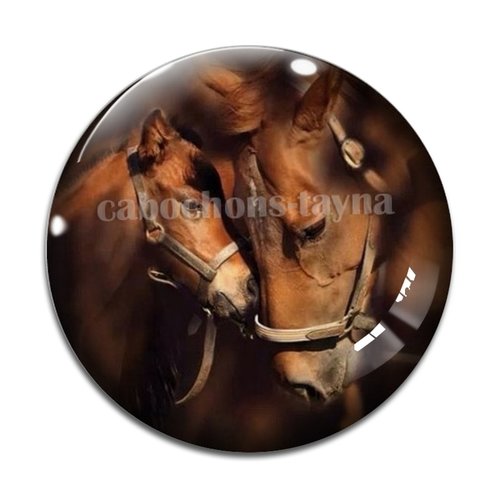 Cabochon cheval, cabochon résine, verre rond différente taille