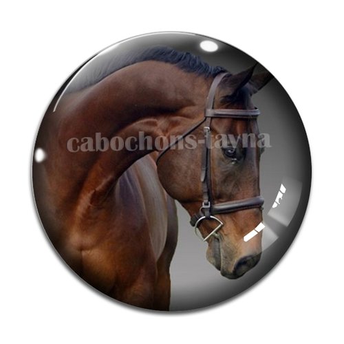Cabochon cheval, cabochon résine, verre rond différente taille