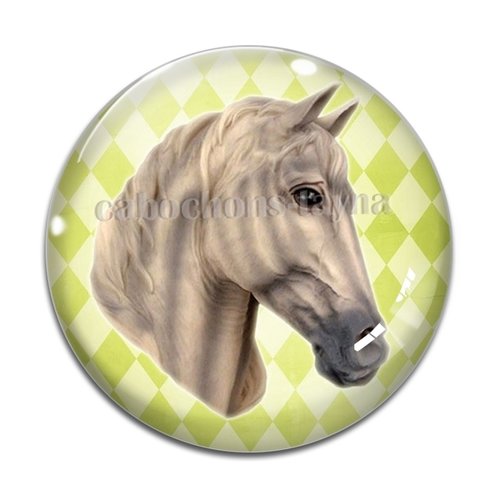 Cabochon cheval, cabochon résine, verre rond différente taille