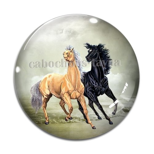 Cabochon cheval, cabochon résine, verre rond différente taille