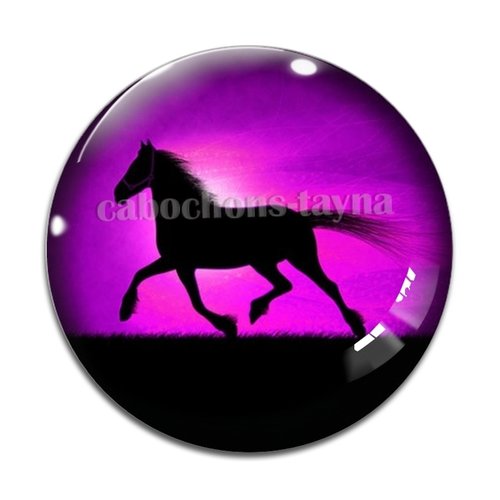 Cabochon cheval, cabochon résine, verre rond différente taille