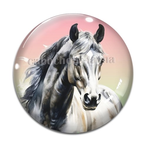 Cabochon cheval, cabochon résine, verre rond différente taille
