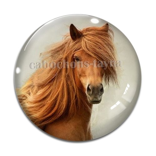 Cabochon cheval, cabochon résine, verre rond différente taille