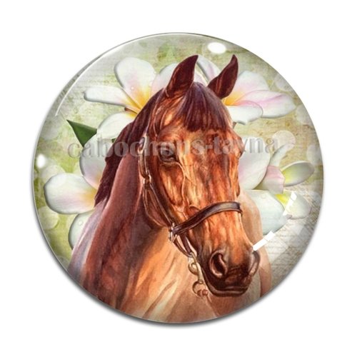 Cabochon cheval, cabochon résine, verre rond différente taille
