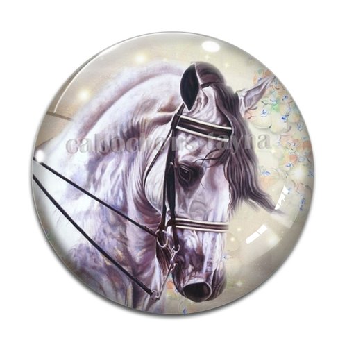 Cabochon cheval, cabochon résine, verre rond différente taille