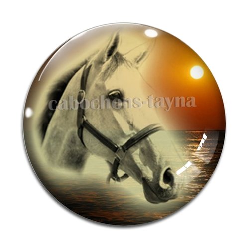 Cabochon cheval, cabochon résine, verre rond différente taille