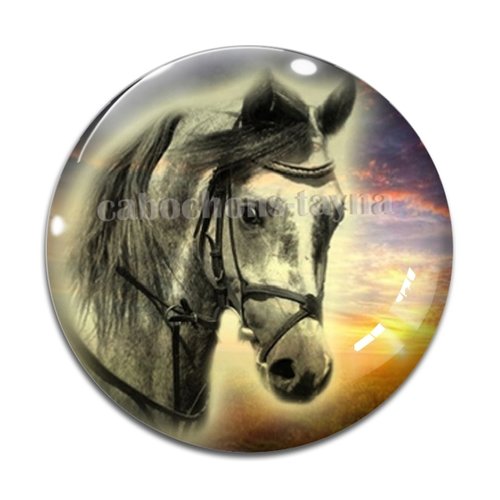 Cabochon cheval, cabochon résine, verre rond différente taille