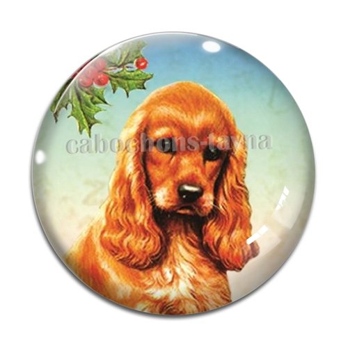 Cabochon chien, cabochon résine, verre rond différente taille
