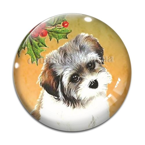 Cabochon chien, cabochon résine, verre rond différente taille