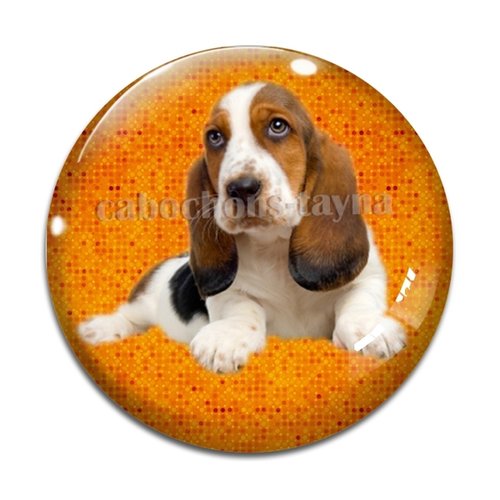 Cabochon chien, cabochon résine, verre rond différente taille