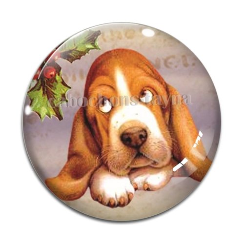 Cabochon chien, cabochon résine, verre rond différente taille
