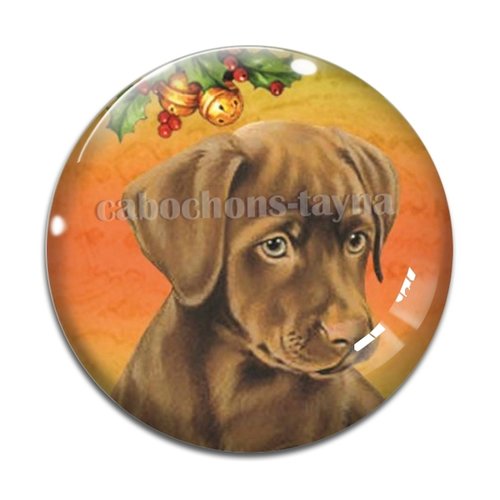 Cabochon chien, cabochon résine, verre rond différente taille