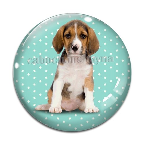 Cabochon chien, cabochon résine, verre rond différente taille