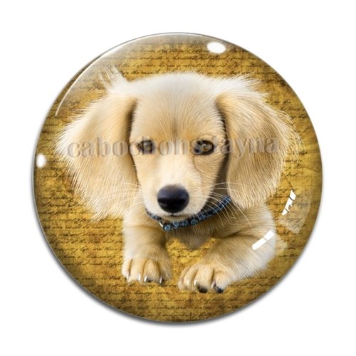 Cabochon chien, cabochon résine, verre rond différente taille