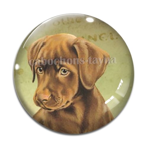 Cabochon chien, cabochon résine, verre rond différente taille