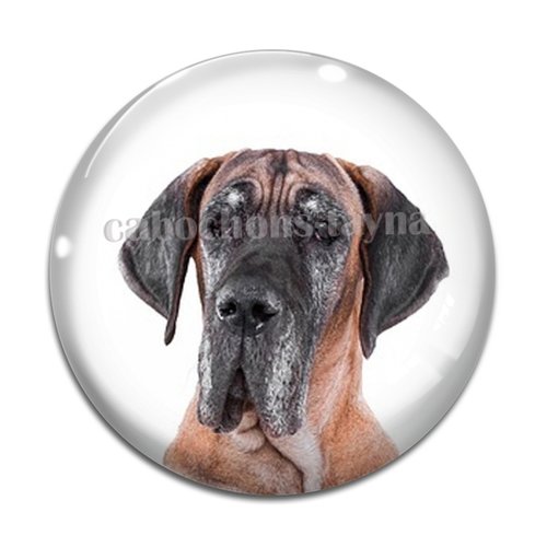 Cabochon chien, cabochon résine, verre rond différente taille