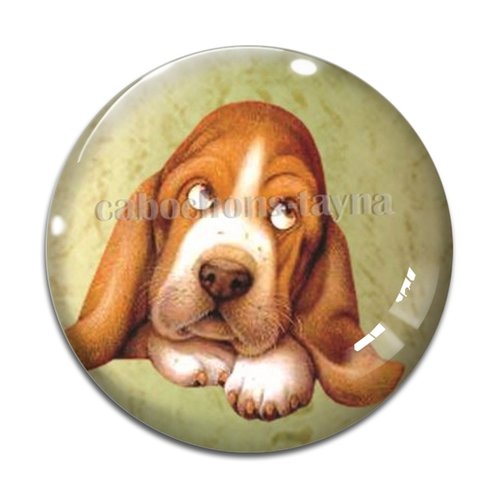 Cabochon chien, cabochon résine, verre rond différente taille