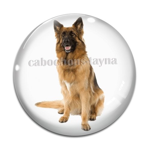 Cabochon chien, cabochon résine, verre rond différente taille