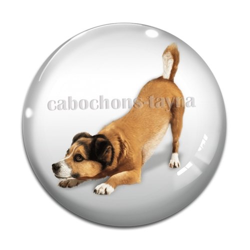 Cabochon chien, cabochon résine, verre rond différente taille