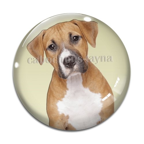 Cabochon chien, cabochon résine, verre rond différente taille